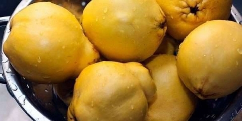 Recept za džem od dunja i pomorandže